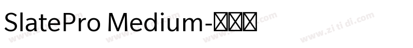 SlatePro Medium字体转换